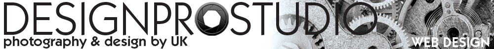 DPSWebDesignHeader
