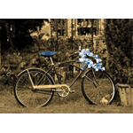 rusty bicycle with blue wreath