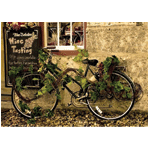 bicycle covered with vines