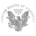 stock vector image silver eagle, United States of America eagle