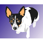 stock vector image Rat Terrier Dog