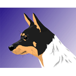 stock vector image Rat Terrier Dog